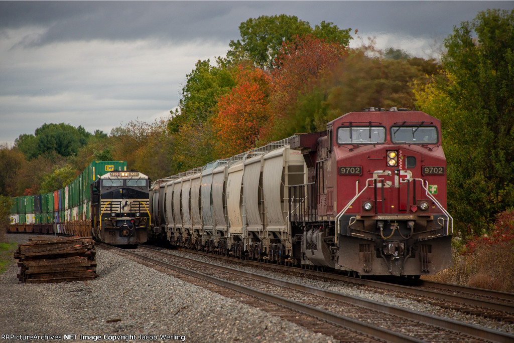 CP 9702 and NS 4508